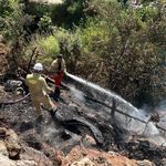 Alanya'da çalılık alanda çıkan yangın söndürüldü