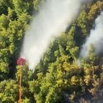 Manavgat'ta orman yangını