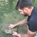 Türkiye’de altın çok arayan yok...Derelerde her gün 5 gram altın çıkarıyorlar