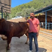 İlçeler