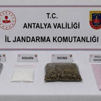 İlçeler