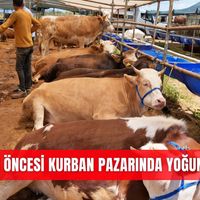 Güncel