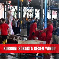Güncel