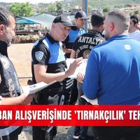 Güncel