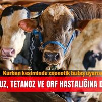 Güncel