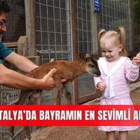 Güncel