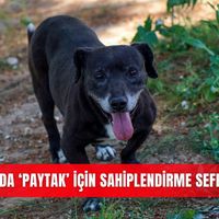Antalya