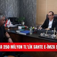 İlçeler
