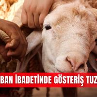 Özel