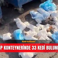 Genel