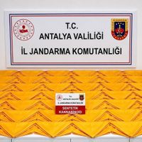 İlçeler