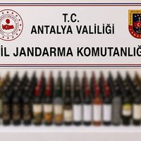İlçeler