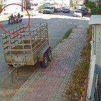 İlçeler