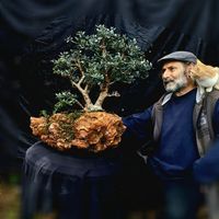 Kültür-