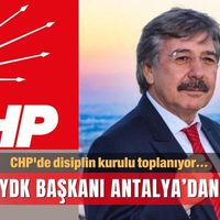 Politika