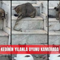 Güncel