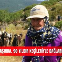 Güncel
