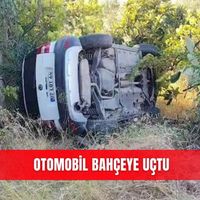 İlçeler