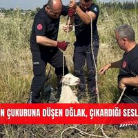 İlçeler