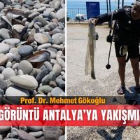 Güncel