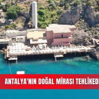 Güncel