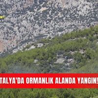 Güncel