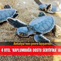 Güncel