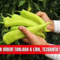İlçeler