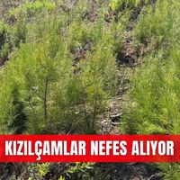 İlçeler