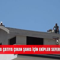 İlçeler