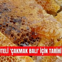 İlçeler