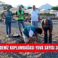İlçeler