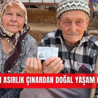 İlçeler
