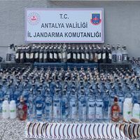 İlçeler