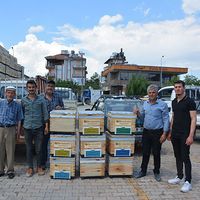 İlçeler