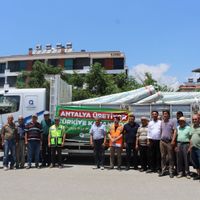 İlçeler