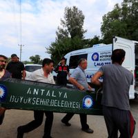 İlçeler