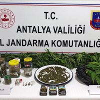 İlçeler