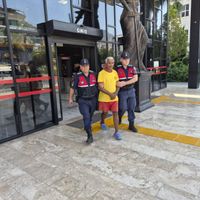 İlçeler