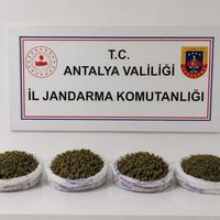 Asayiş