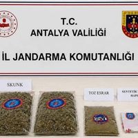 Asayiş