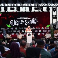 Güncel