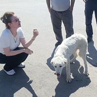 Güncel