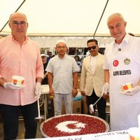 İlçeler
