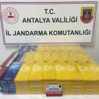 İlçeler