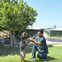 Güncel