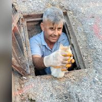 İlçeler