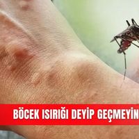 Güncel