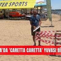 İlçeler