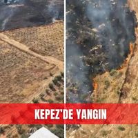 Asayiş